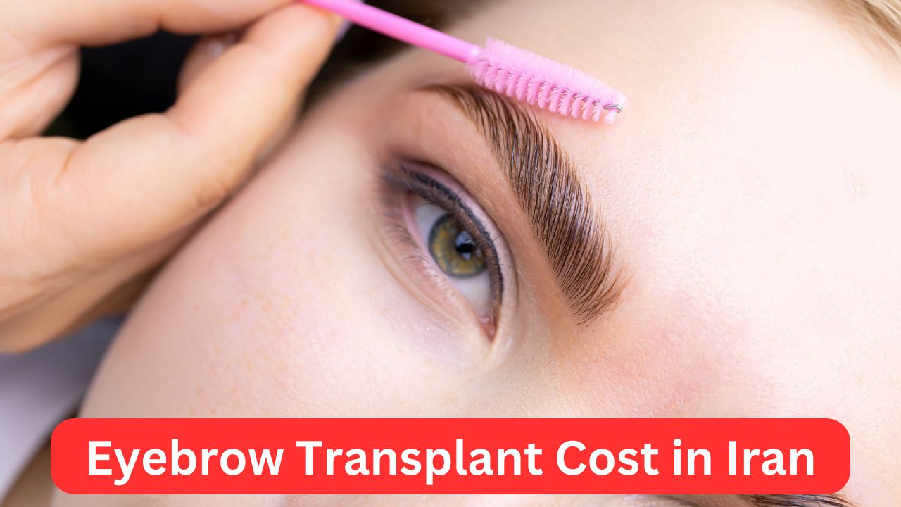 Eyebrow Transplant Cost in Iran